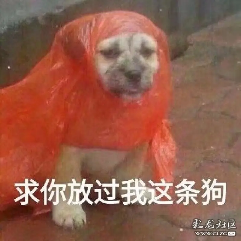 分享一大波表情包