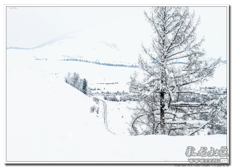 新疆喀纳斯雪景