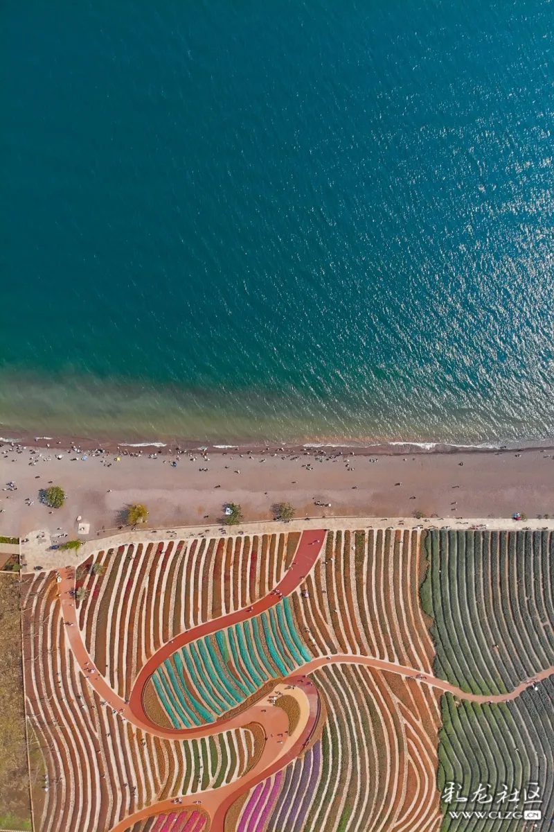 嘀,澄江网红彩虹花海打卡