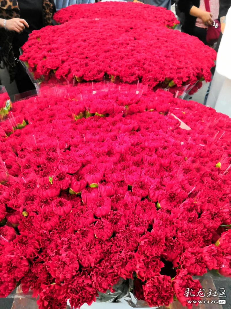 昆明斗南花卉市场