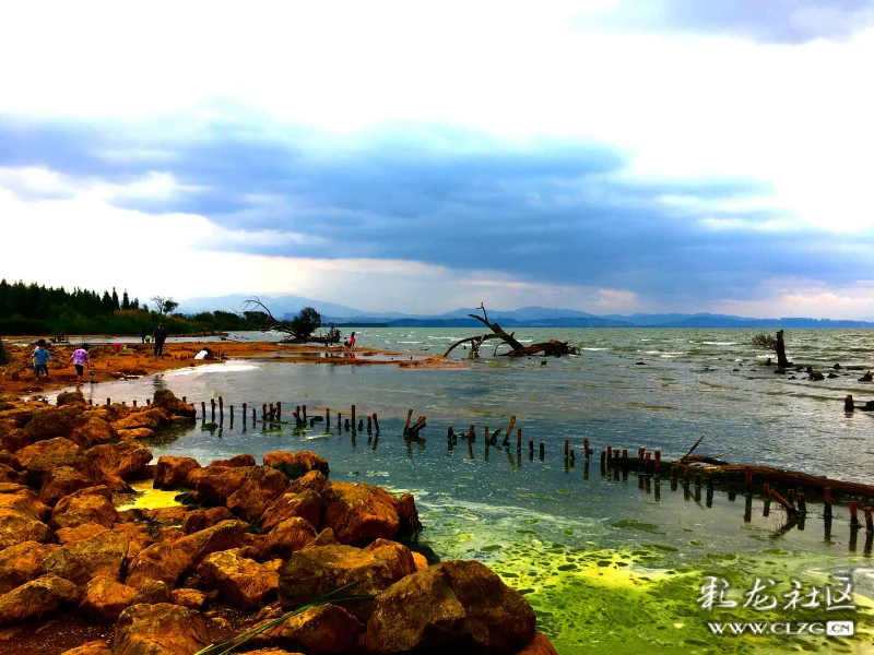 王官湿地公园