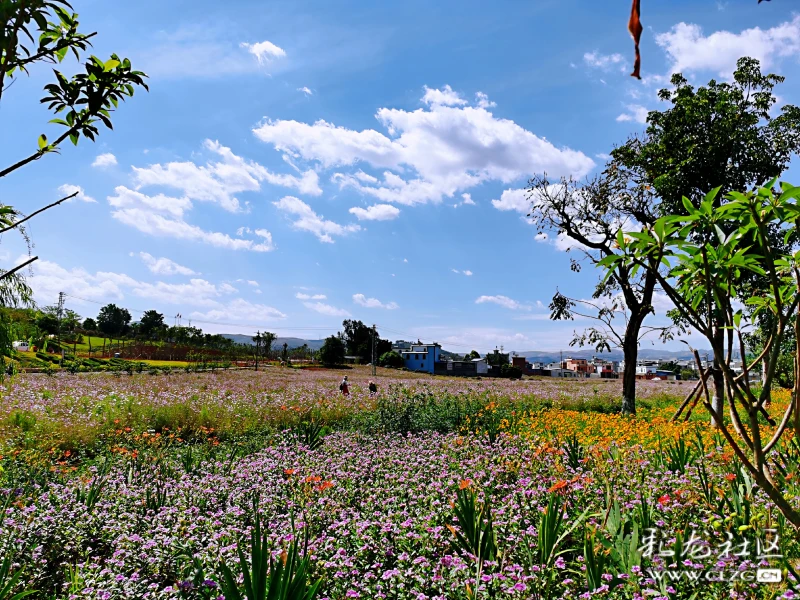 游开远凤凰山生态公园,过"五,四"青年节!