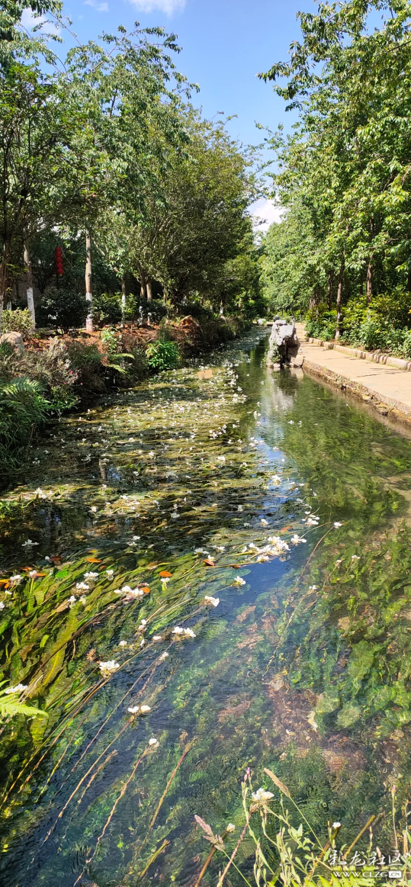 云南丰泽源植物园