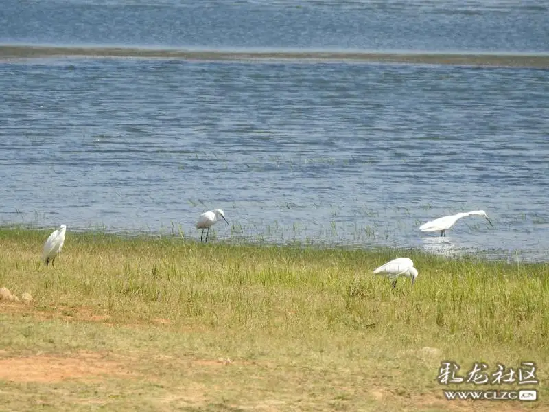 云南小桂林一曲靖沾溢海峰湿地自然景观