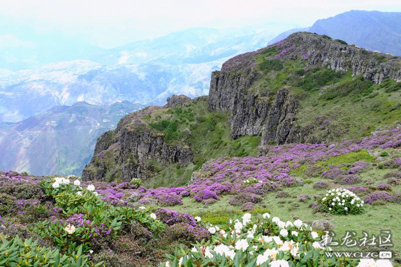 东川大牯牛山的壮美景色