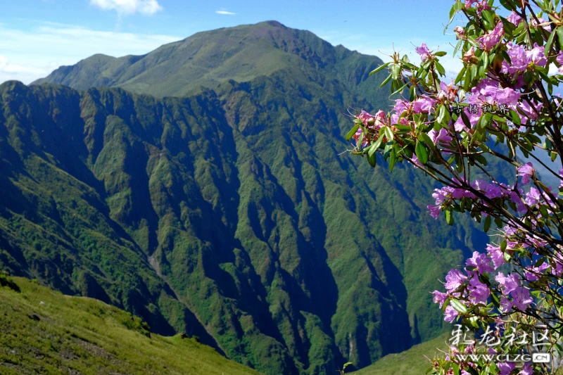 东川大牯牛山的壮美景色