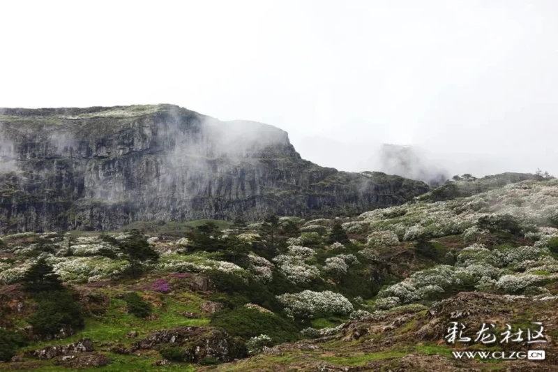 禄劝轿子山风景区位于禄劝县乌蒙乡北依金沙江有数峰远观似花轿故得名