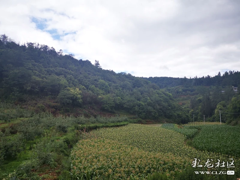 团结街道永靖社区白石岩村坐落在群山怀抱之中,与五华区陡坡社区香杆