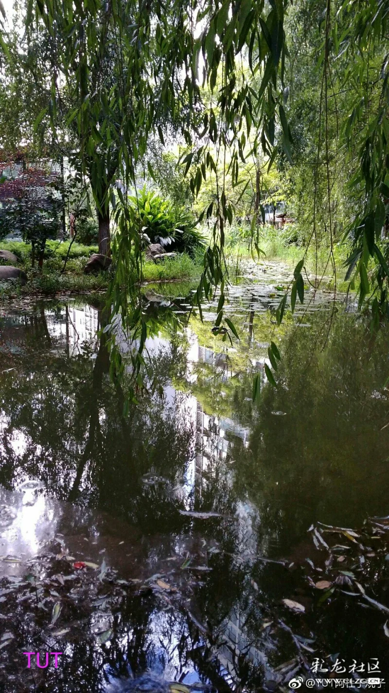 银汁河下的大雁湖 (银汁河探讨之十一)