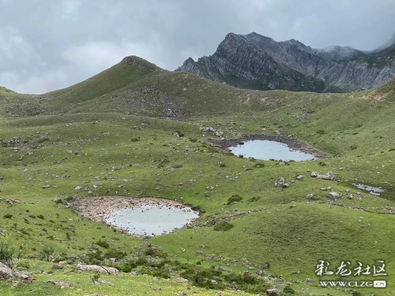 东川妖精塘雪山雄鹰