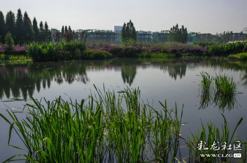 昆明官渡特色街区的湿地公园——星海半岛湿地公园