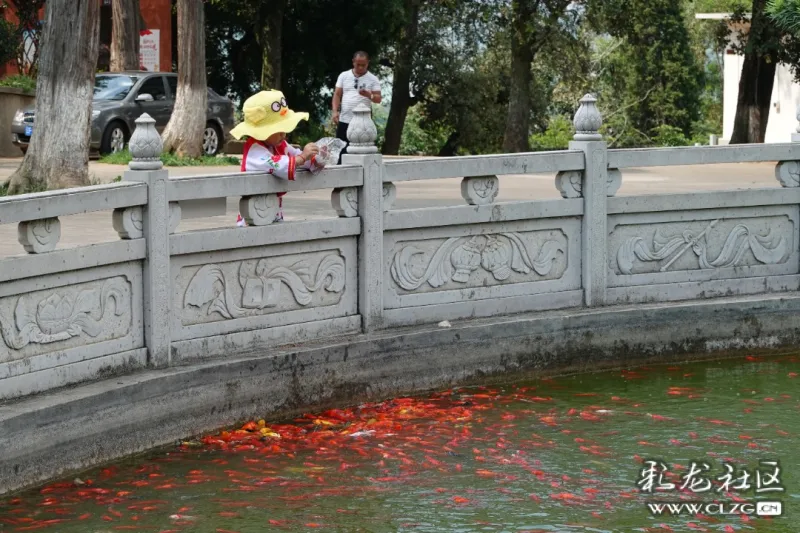 昆明观音寺