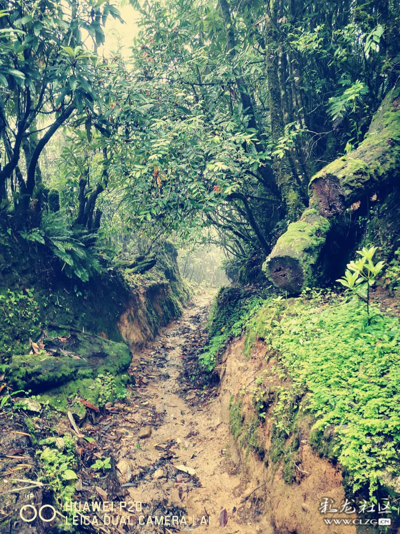漕涧梁子盐马古道