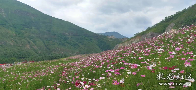 东川汤丹洒海村尾矿库之七色花海雪山雄鹰
