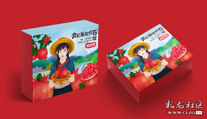 突尼斯石榴包装效果图