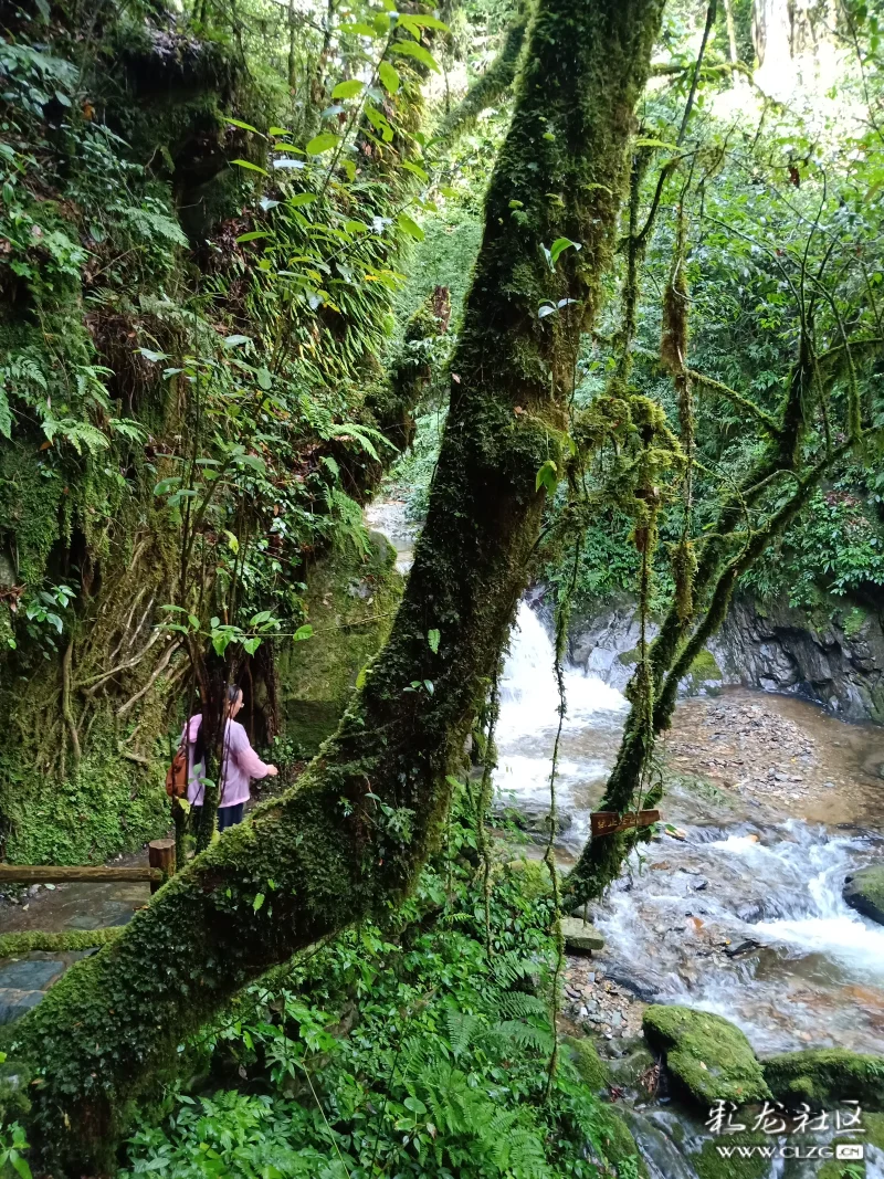 悠美新平哀劳山