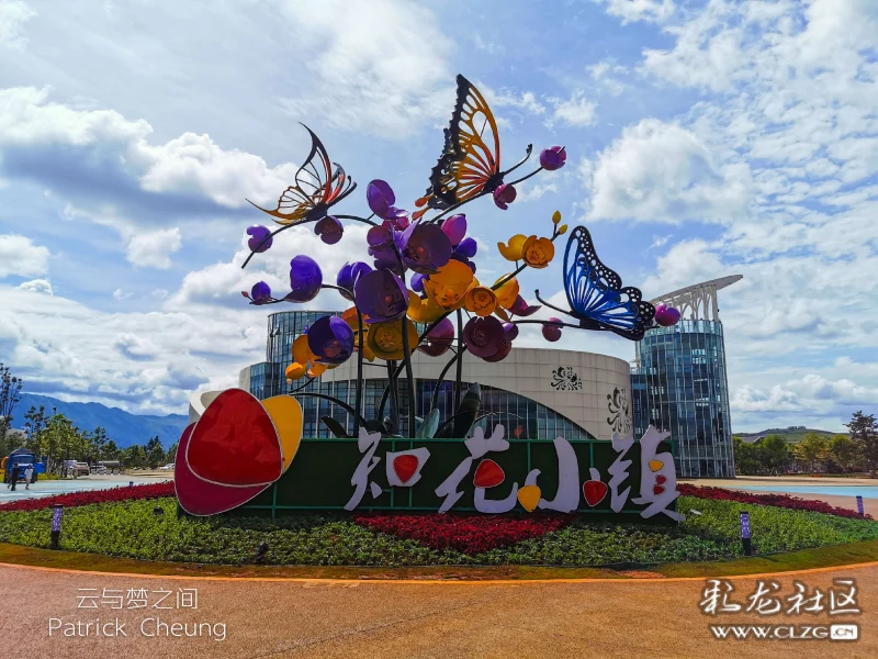 【大美云南】"蝶舞"知花小镇,开启滇南"花花世界"的小康梦.