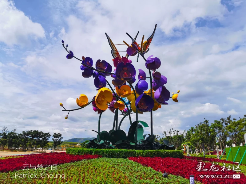 【大美云南】"蝶舞"知花小镇,开启滇南"花花世界"的小康梦.