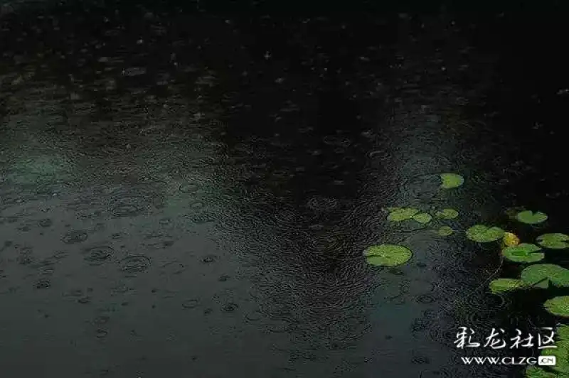 古诗新词之《夜雨寄北》李商隐 董加伟