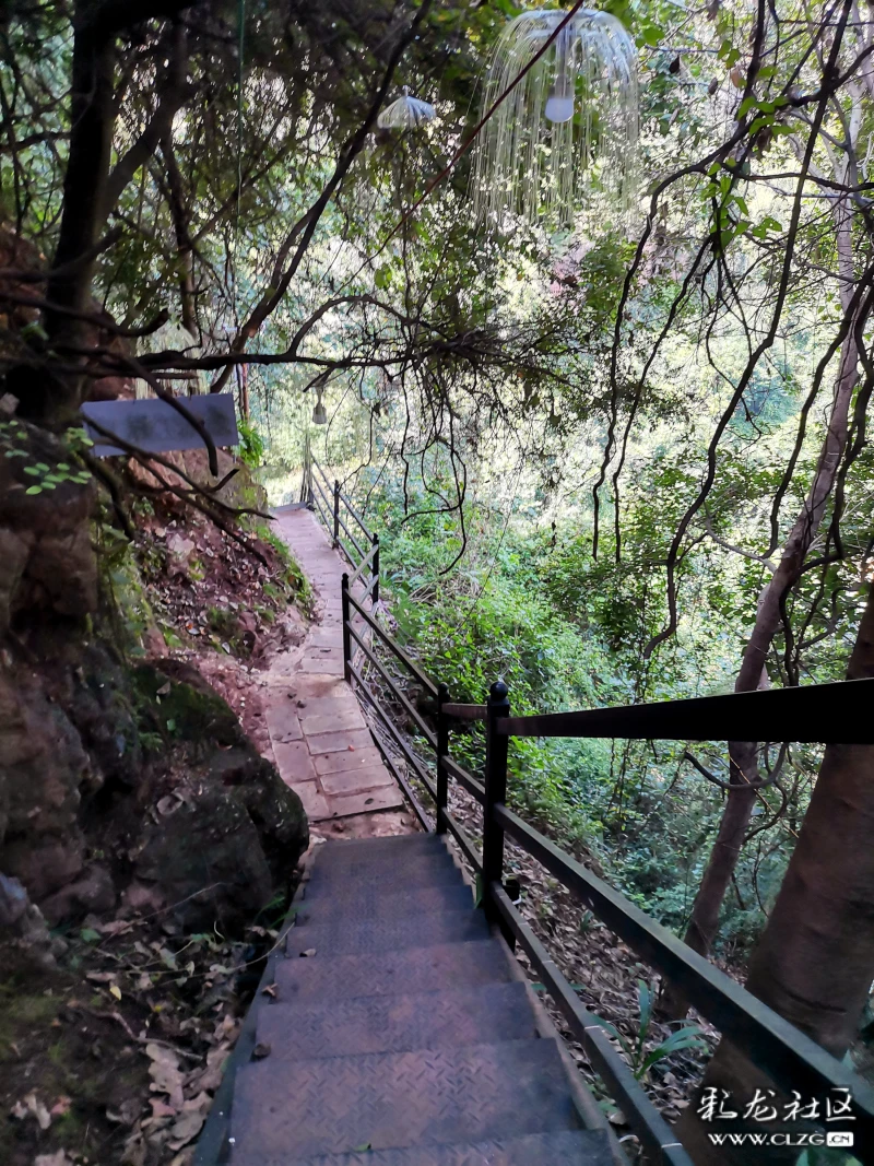 伽峰山风景区位于富民县,海拔一千九百余米,状似春笋,小巧玲珑.