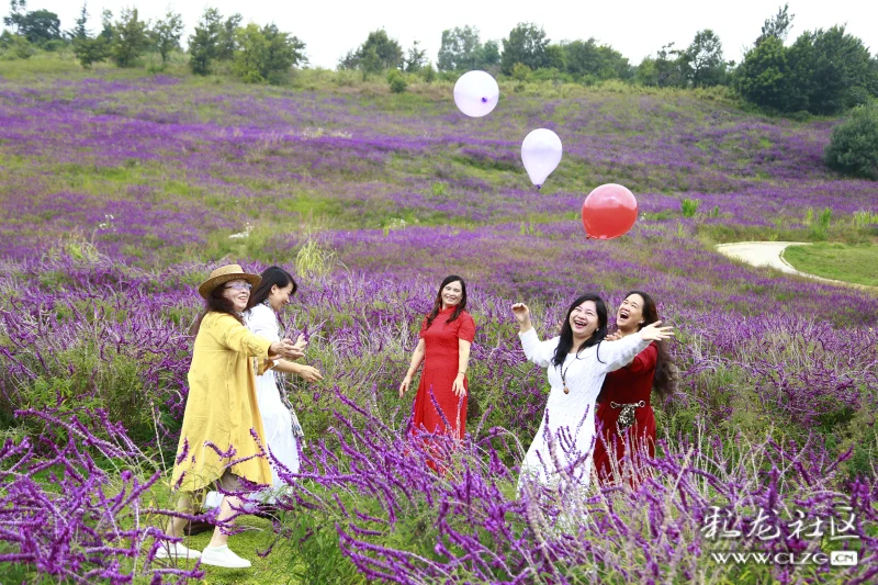 阳宗海那片云端花海