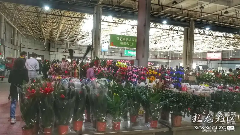 昆明斗南花卉市场,是全国最大的鲜花交易中心,也是亚洲第一,世界第二