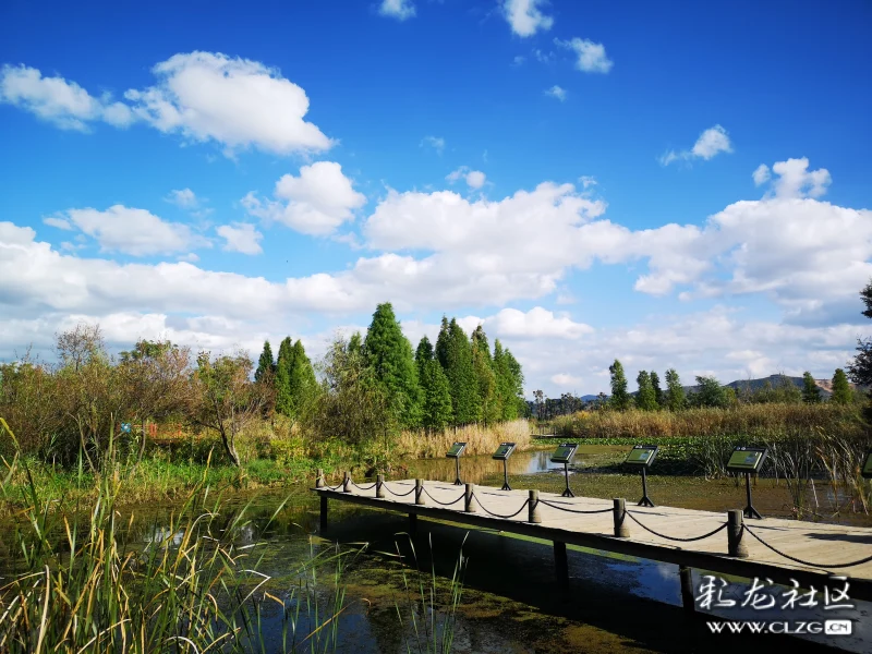 昆明晋宁东大河湿地公园位于昆明,是昆明市较大的河口湿地,精品生态