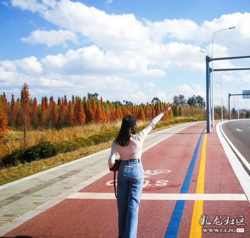 我心中的昆明网红路,环湖东路排名第一,随手一拍都是风景