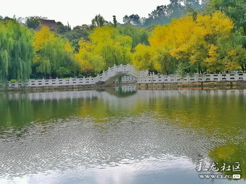 美丽的安宁百花公园