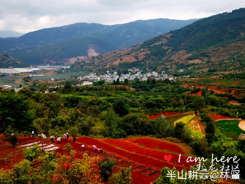 富民县赤鹫老花果山半山耕云美丽乡村