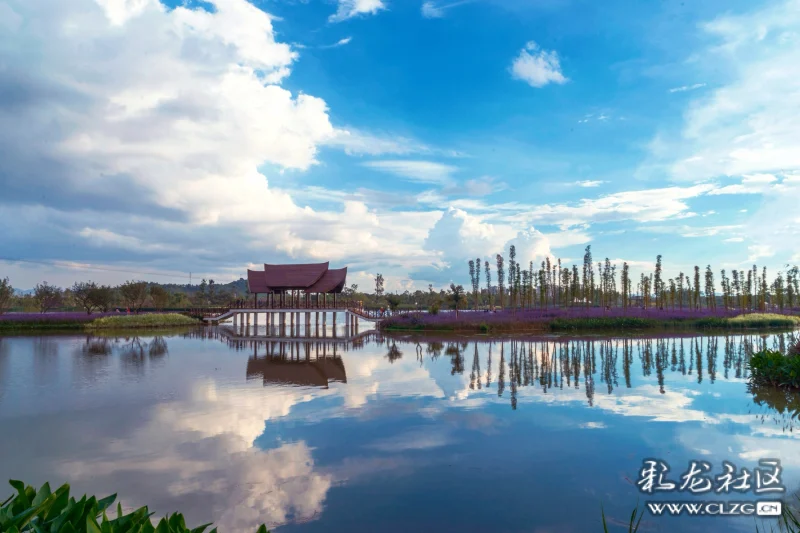 诗意晋宁之古滇湿地公园