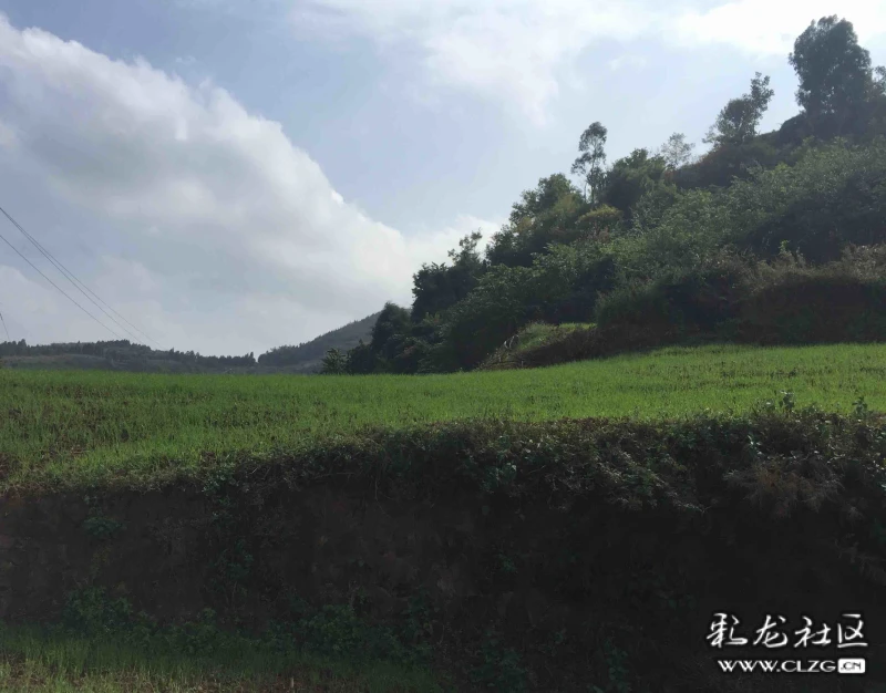 以幸福之名平凡地遇见寻甸县塘子村记