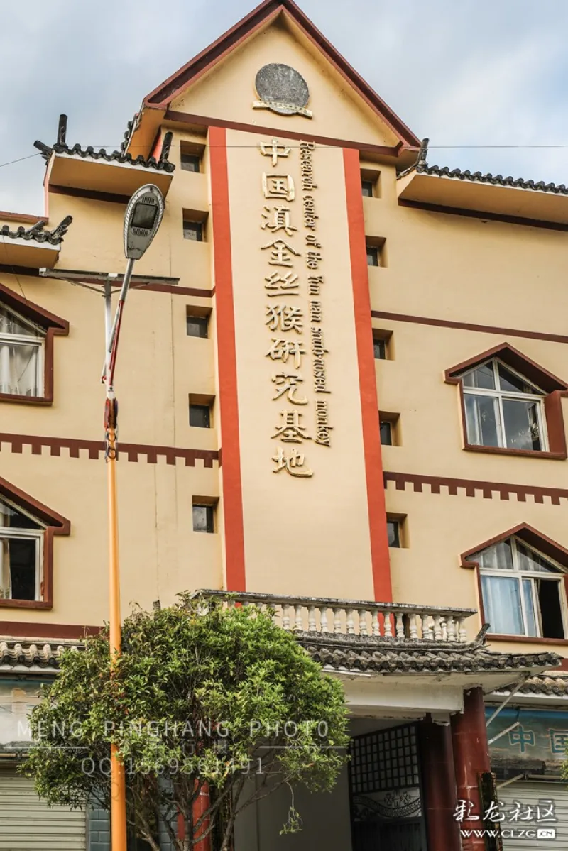 云岭维西塔城镇秀美景色好风光