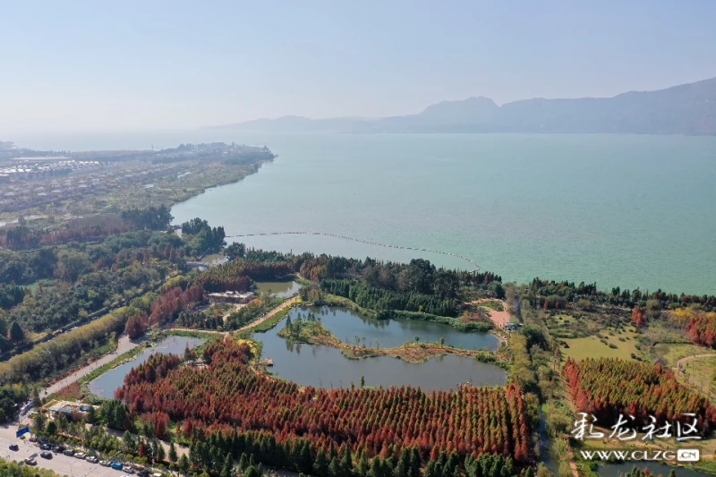 昆明海洪湿地美光与影摄影