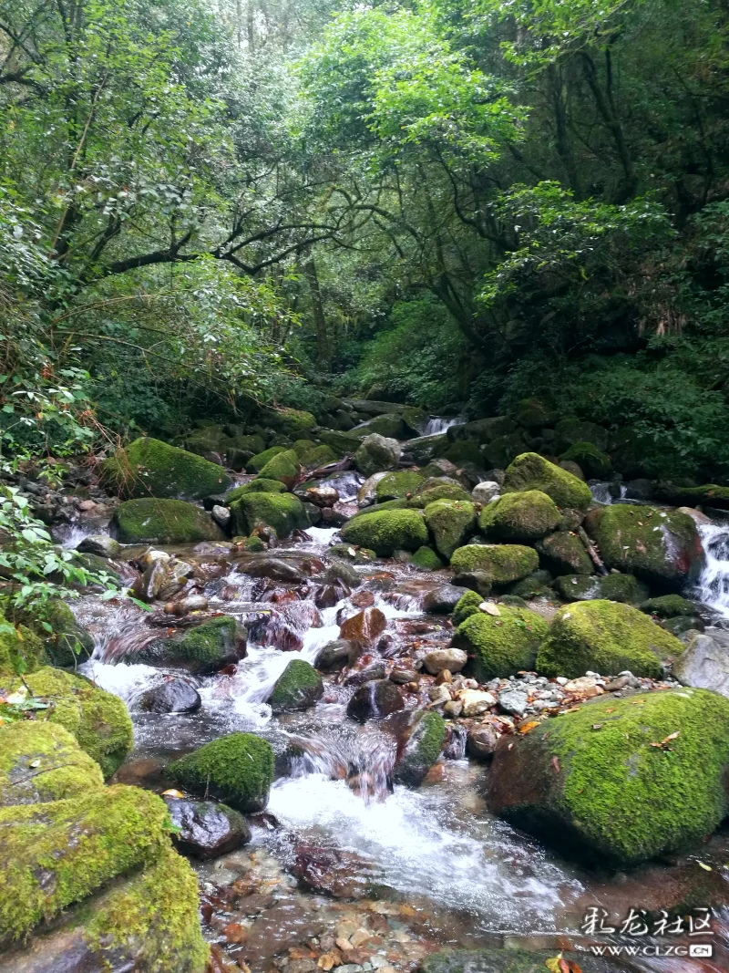 百花岭的风景