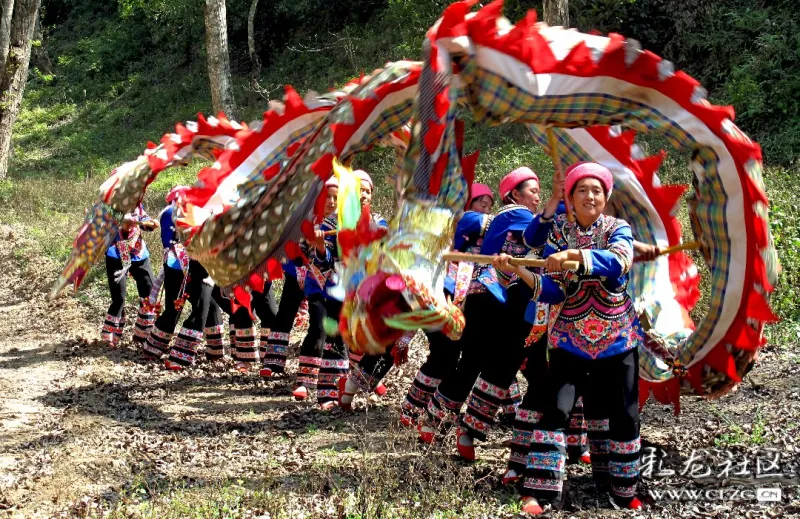 龙行彝乡兆丰年