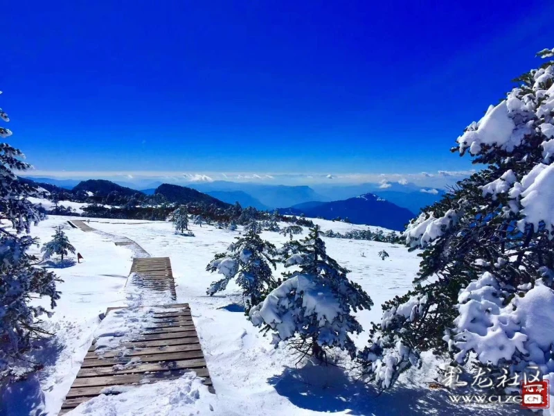 《轿子雪山 文/岑寂儿