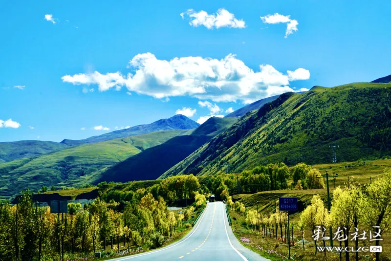 317国道沿途风景如画,光影流动,漫坡的彩林披金戴红,美轮美奂,光影