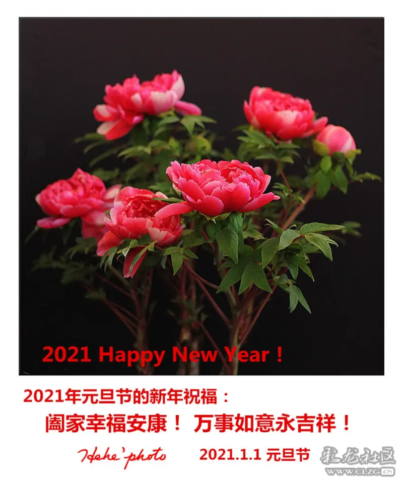 2021元旦节的新年贺卡