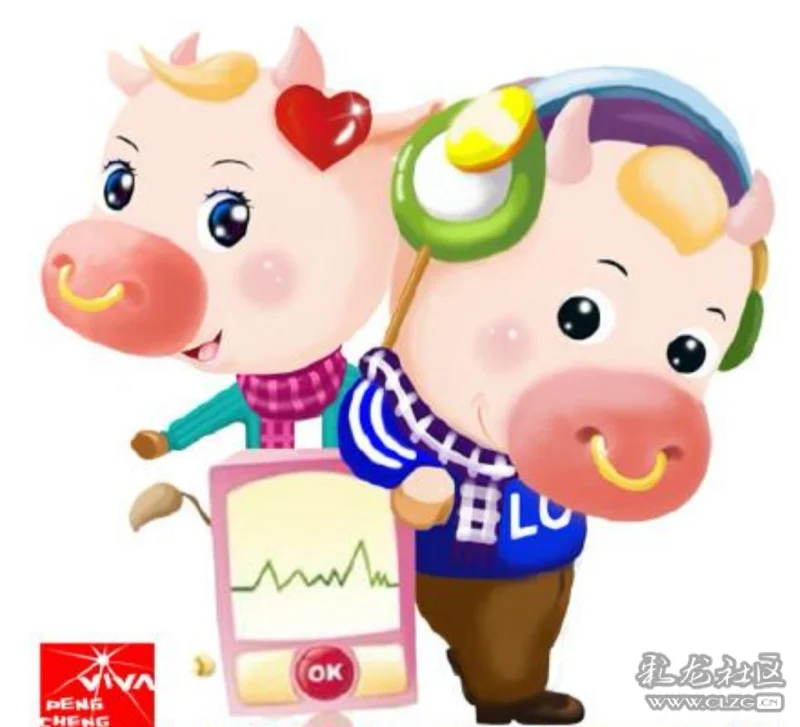 新春乐之藏调公牛母牛