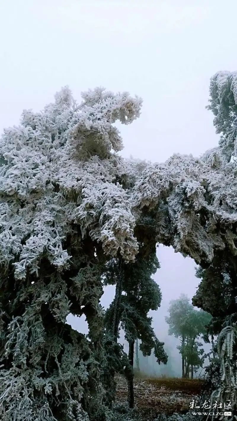 石林圭山美丽雾凇