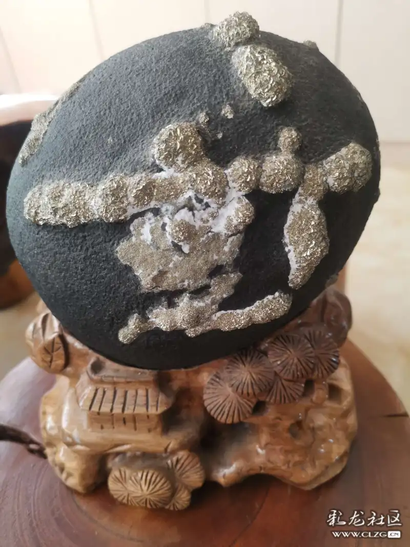东川铁胆石一一赏石诗之十二雪山雄鹰