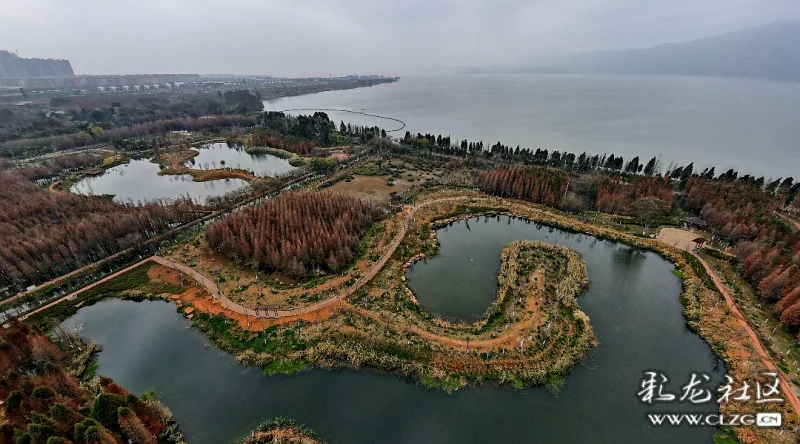 欢迎点评和点赞!我到昆明海洪湿地,这次是第三次.