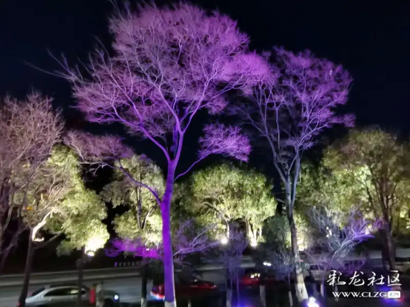 海埂大坝的夜景也迷人