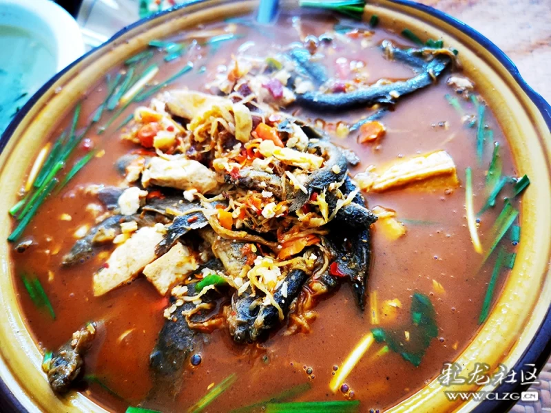 云南风味美食图鉴墨江臭豆腐煮江鳅