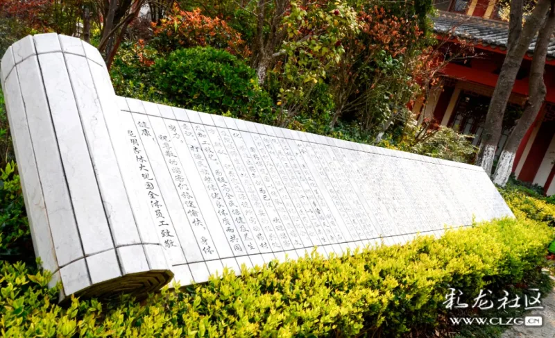 中医药文化康养小镇杏林园一