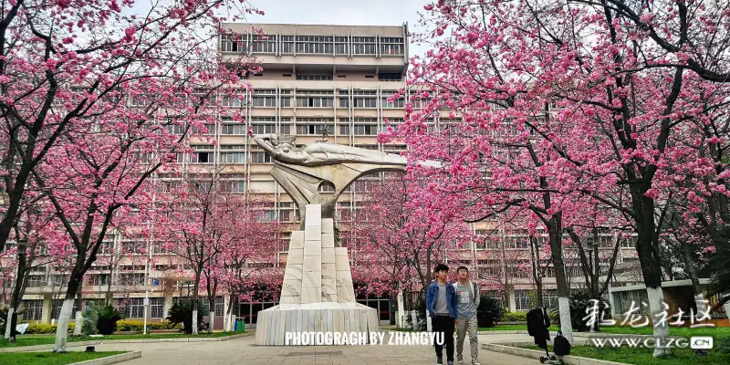 校园春色——昆明理工大学莲华老校区