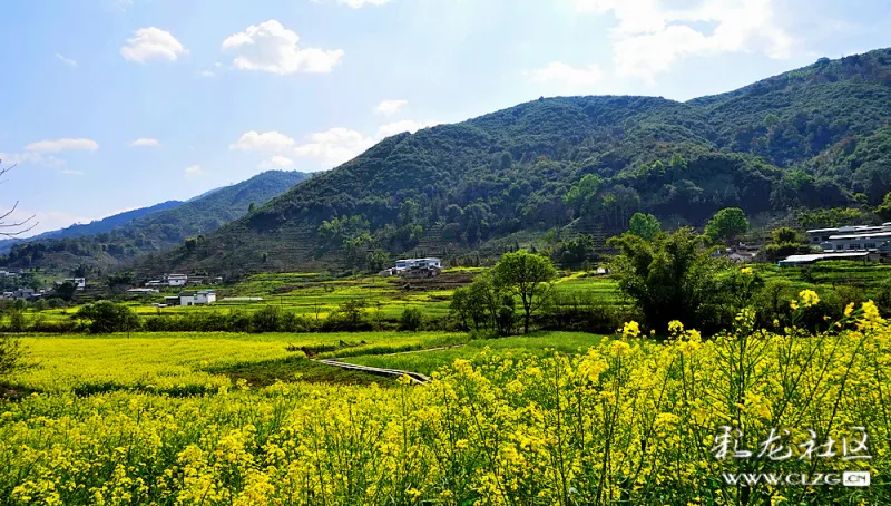 山村小景——油菜花开凤庆勐佑镇!