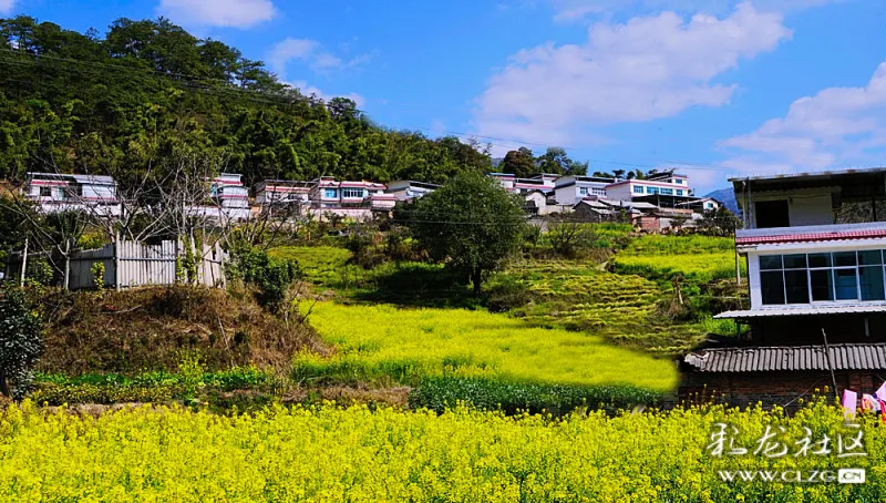 山村小景——油菜花开凤庆勐佑镇!