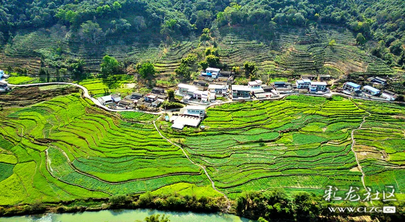 山村小景油菜花开凤庆勐佑镇